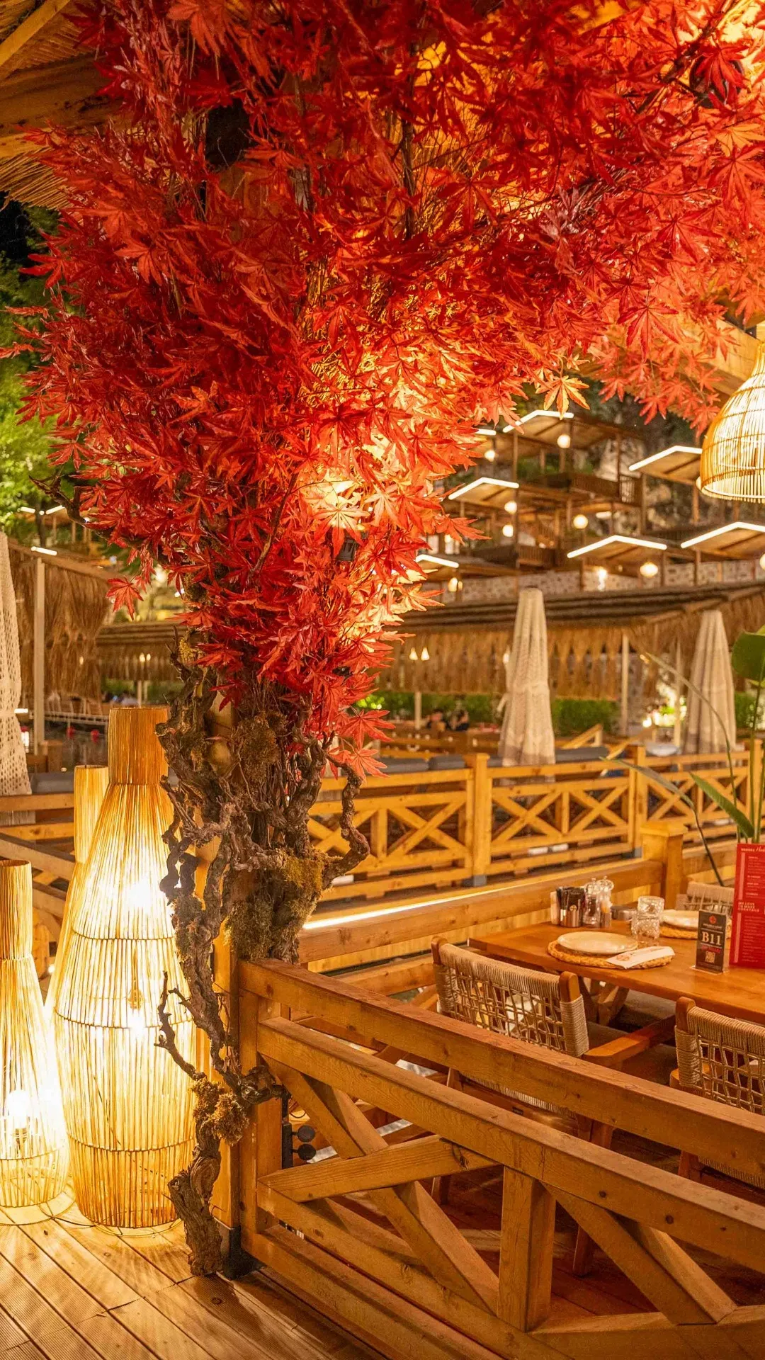 Gece - Dimçayı Anadolu Köyü Restaurant