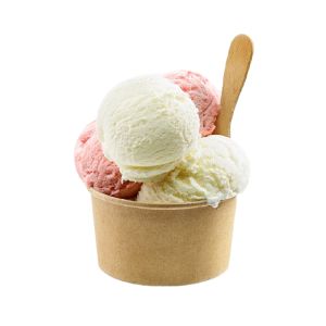 Ice Cup Dondurma